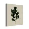 Eikenbladeren - Beige - Groen - Golvende randen aluminium wit klein -3d