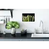 Asperges - Groen - Zwart Muursticker klein -keuken