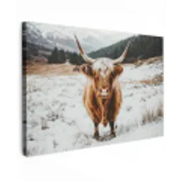 Schotse Hooglander - Landschap - Sneeuw - Bergen - Winter Tuinposter op houten frame 2 cm dik klein -3d
