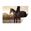 Harmonie - Ruiter - Zon Muursticker klein -3d