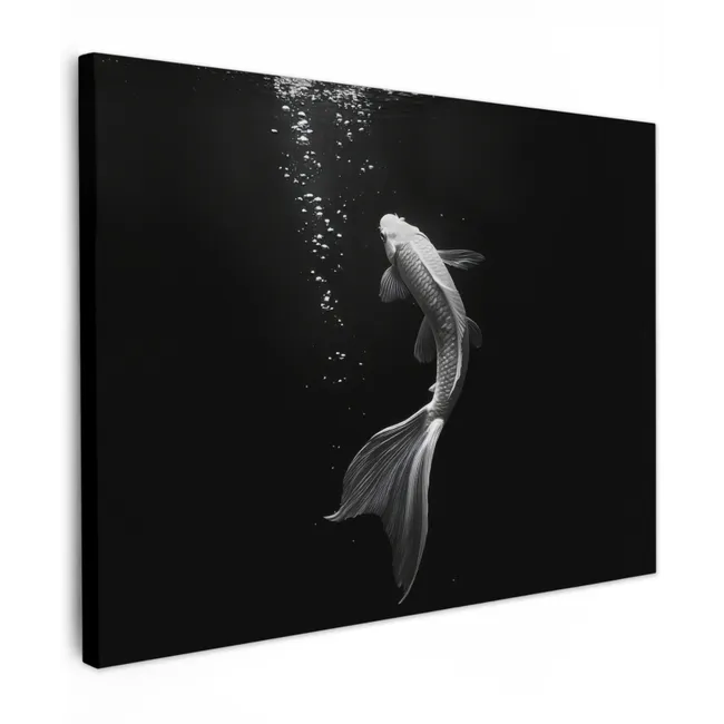 Canvas Print - Koi - Fish - White - Black