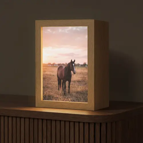 Paard - Zonsondergang - Bruin Light Box met kabel (Tafellamp) klein -z3d_website