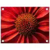 Close up - Bloem- Rood tuinposter los doek klein -3d