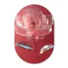 Sierlijk - Bloem - Roze - Glazen Wandcirkel Ovaal Glas middel -3d