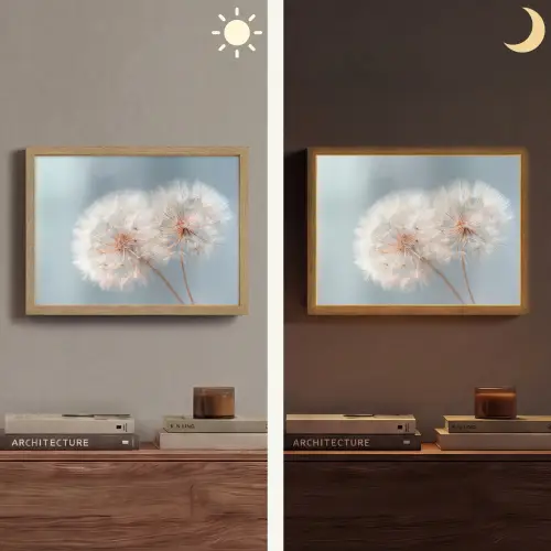 Paardenbloemen - Pluisjes - Wit Light Box met batterij (Wandlamp) middel -sfeer3