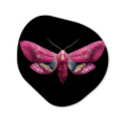 Vlinder - Roze - Nachtvlinder Wandcirkel Organisch Forex 3mm klein -3d