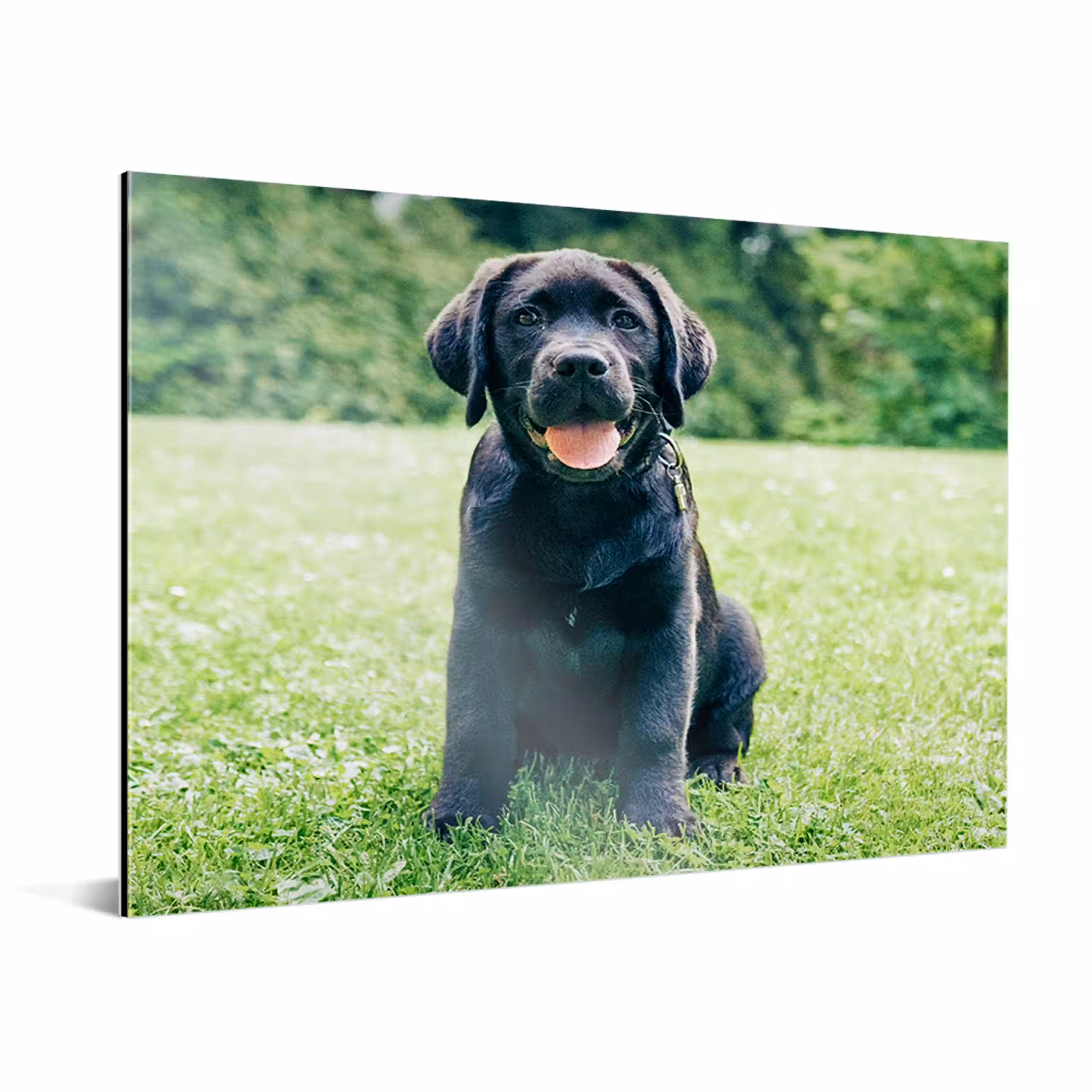 aluminium-product-5.png