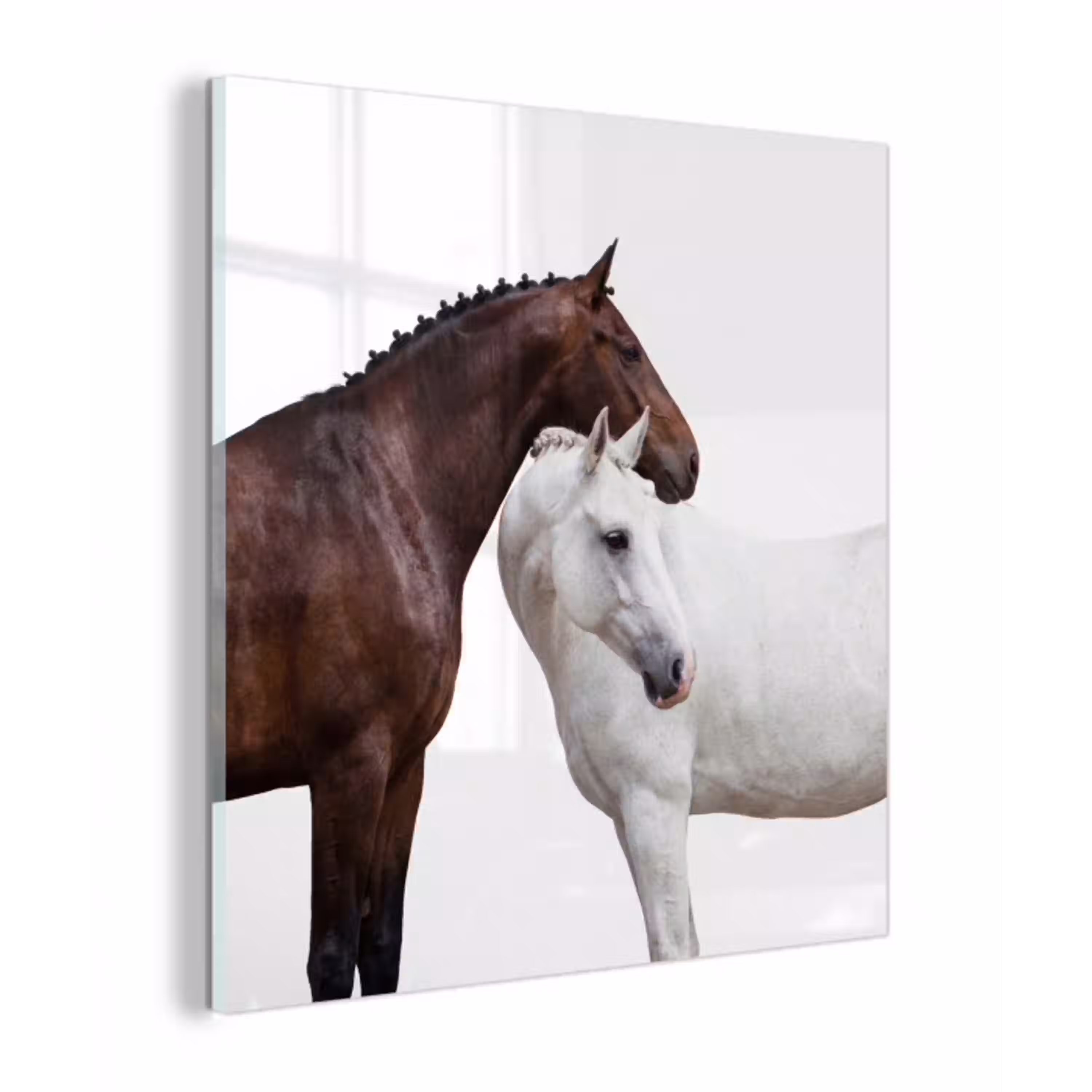 Paard - Modern - Balans plexiglas 5mm klein -z3d
