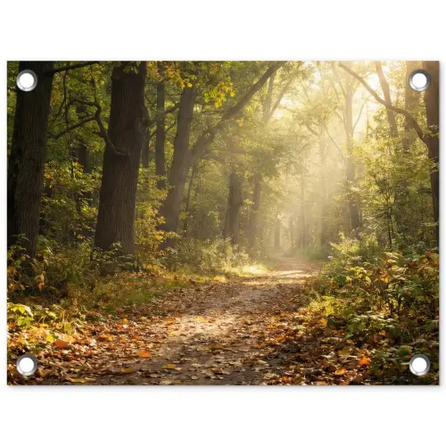 Zonlicht - Bospad - Bomen tuinposter los doek klein -3d