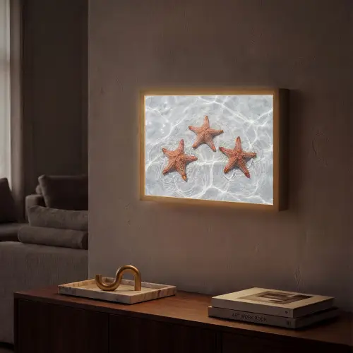 Zeesterren - Water - Helder Light Box met batterij (Wandlamp) middel -sfeer1