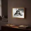 Aap - Spaghetti - Zonnebril - Zwart wit - Cool - Dier Light Box met batterij (Wandlamp) middel -sfeer1