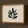 Laurierbladeren - Bloemknoppen - subtiel Light Box met batterij (Wandlamp) middel -z3d_website