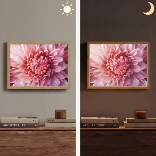 Dahlia - Bloem - Close up - Roze Light Box met batterij (Wandlamp) middel -sfeer3