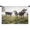 Koeien - Licht - Gras - Dieren Wandkleed katoen klein -zz3d