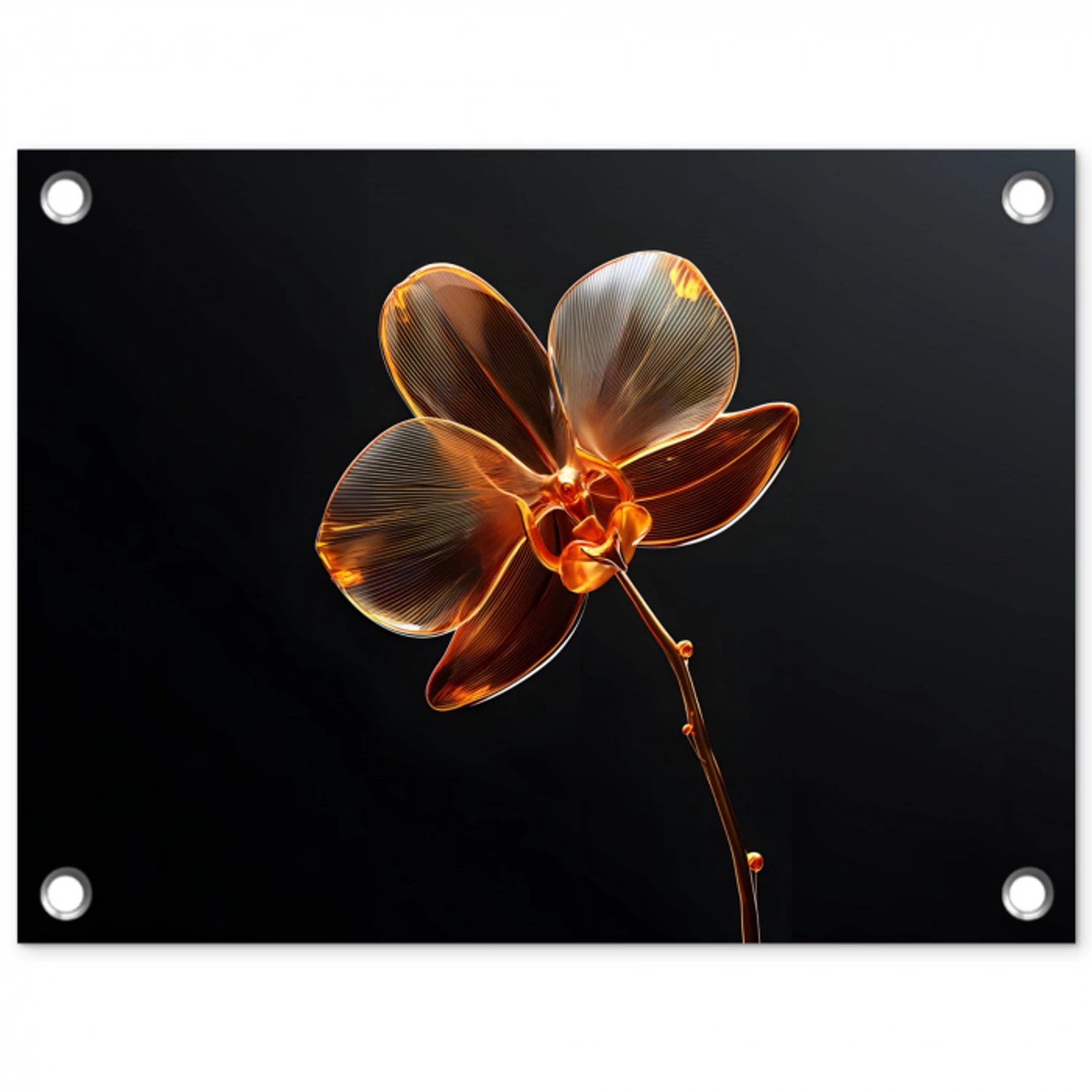 Orchidee - Doorzichtig - Bloem tuinposter los doek klein -3d
