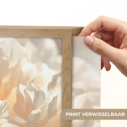 Close up - Pioenroos - Lichtroze Light Box met batterij (Wandlamp) middel -USP_websiteprintNL