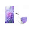 Paars - Dahlia - Dromerig fotobehang vinyl groot -3d