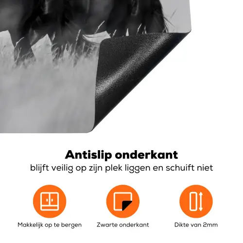 Paarden - Gras - Zwart - Wit Inductie beschermer vinyl 3mm klein -zzzzzzz-td-onderkant