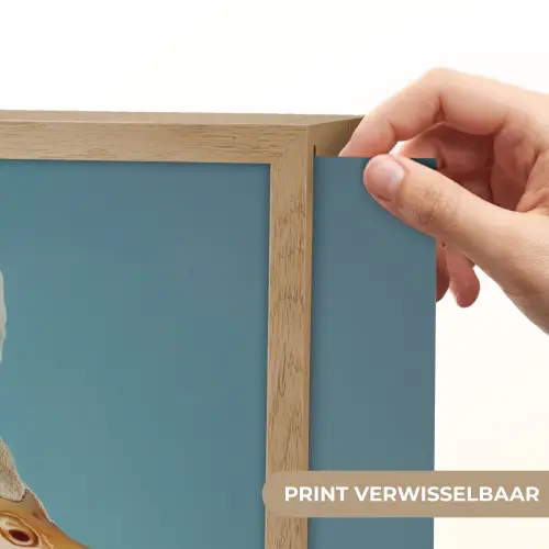Eend - Koksmuts - Cute - Vogel Light Box met batterij (Wandlamp) middel -USP_websiteprintNL