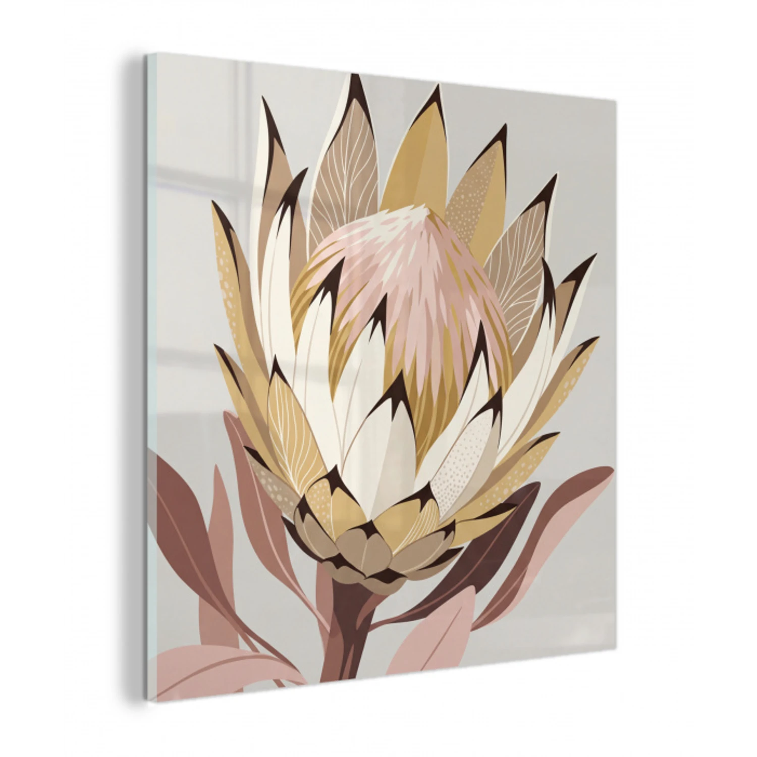Protea - Bloem - Botanisch - Beige plexiglas 5mm klein -z3d
