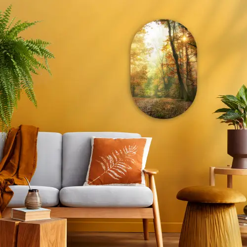 Bos - Herfst - Zon - Landschap - Natuur - Bomen - Bladeren Wandcirkel Ovaal Forex klein -sfeer4