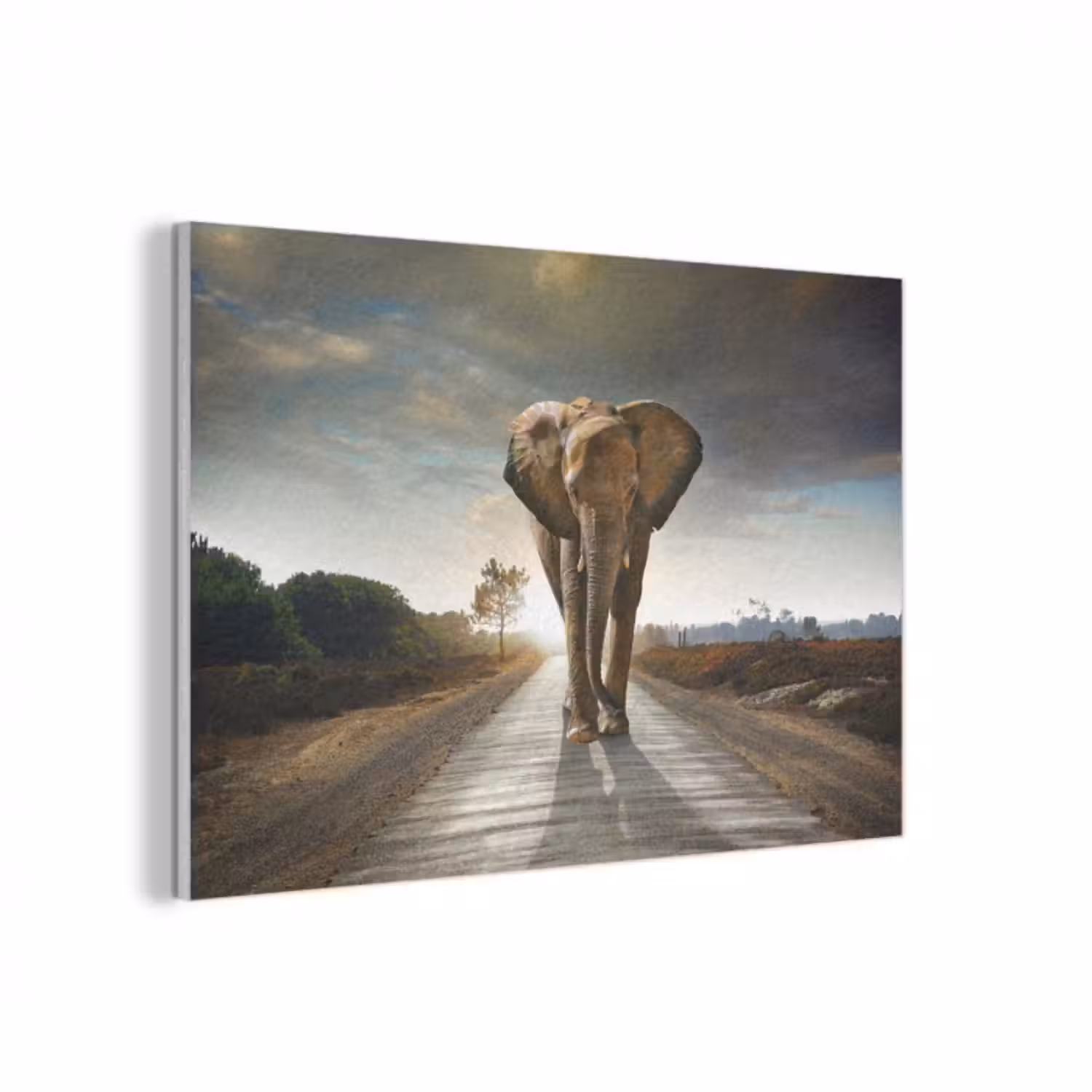 Akustikbild - Elefant - Straße - Tiere - Sonnenuntergang - Landschaft