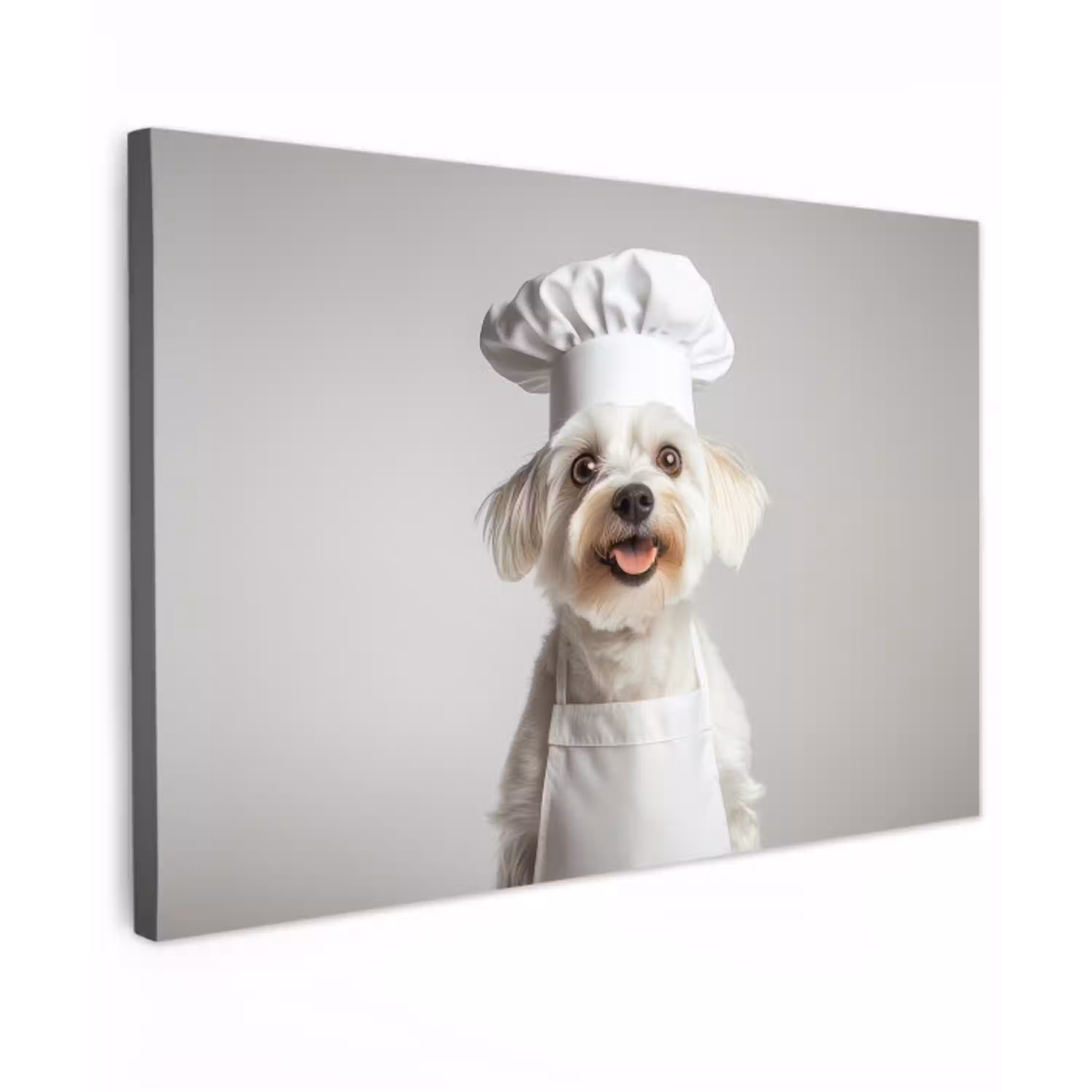 Hond - Wit - Kok Tuinposter op houten frame 2 cm dik klein -3d