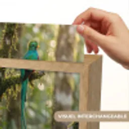 Quetzal - Jungle - Natuur - Groen Light Box met kabel (Kinderlampje) klein -USP_websiteprintFR