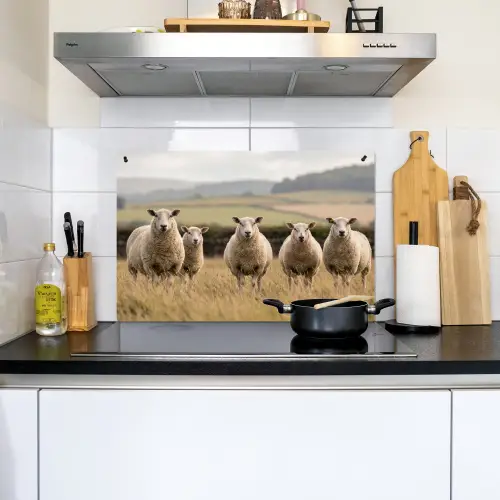 Schapen - Weidenlandschap - Heuvels Inductie beschemer met haakjes klein -sfeer2