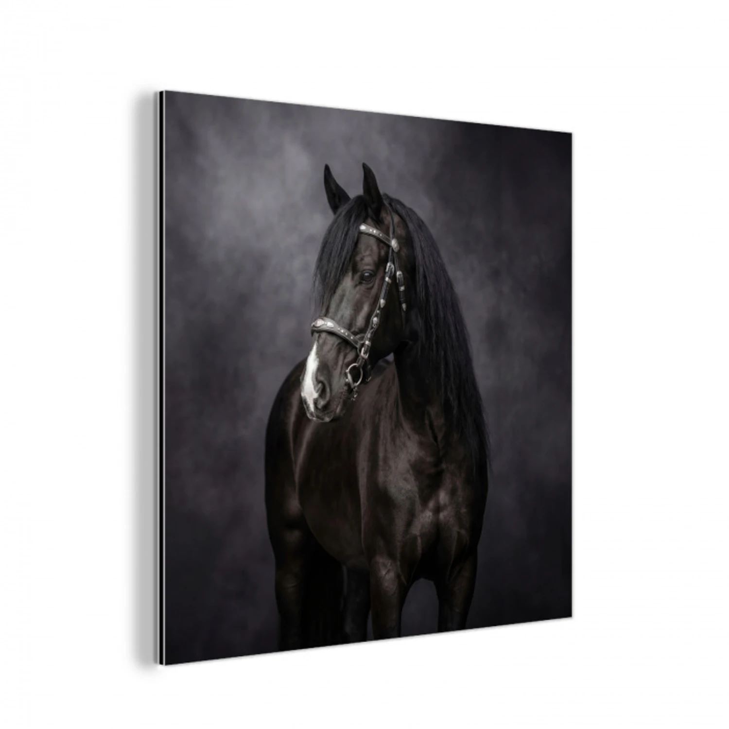 Portret - Paard - Zwart aluminium wit klein -3d