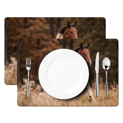 Paard - Bruin - Gras Placemat vinyl groot -zzsfeer2_Kitchenyeah-website