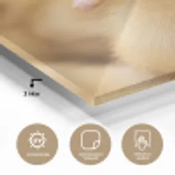 Pijltje - Eend - Natuur - Geel plexiglas 5mm klein -wsfeer2_DE