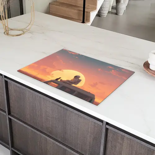 Busje - Kat - Zonsondergang - Oranje Inductie beschermer vinyl 3mm klein -sfeer8
