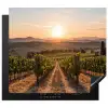 Wijngaard - Zonsondergang - Landschap Inductie beschermer vinyl 3mm middel -3d
