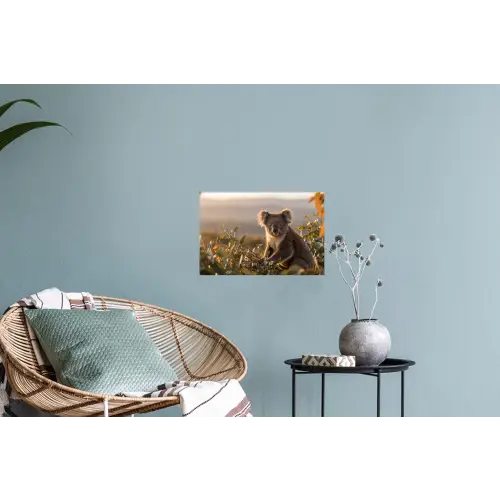 Koala - Bladeren - Ochtendlicht Muursticker klein -plant