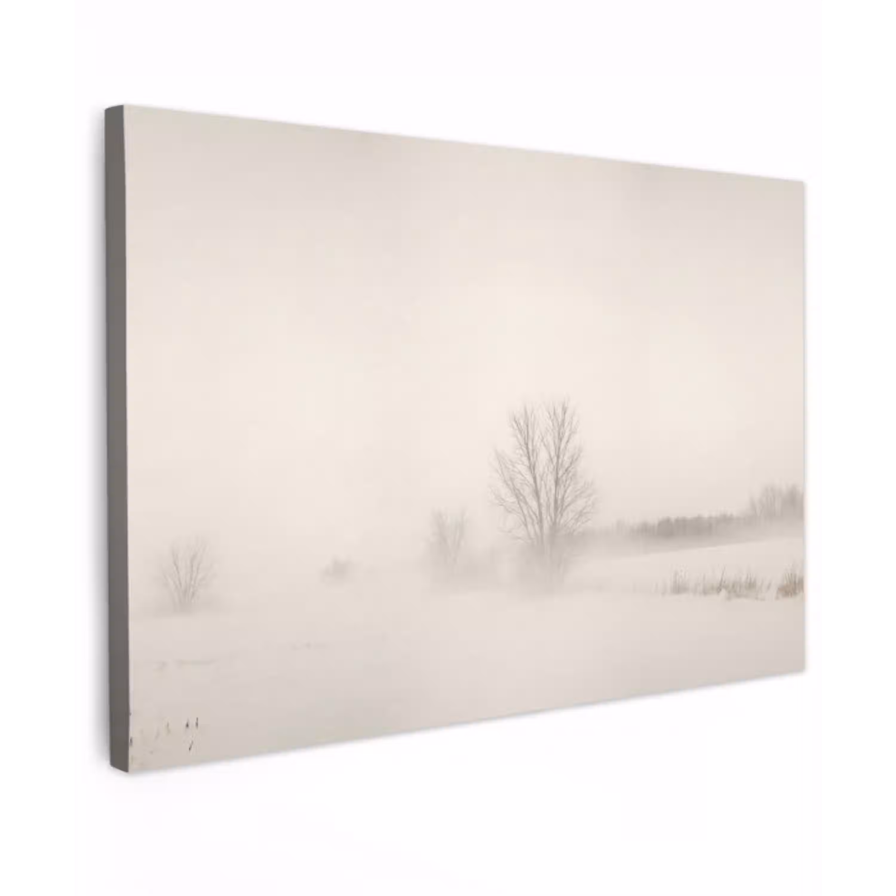 Boom - Mist - Sneeuw - Winter - Minimalistisch Tuinposter op houten frame 2 cm dik klein -3d