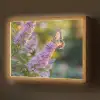 Sierlijke - Vlinder - Paarse - Bloemen Light Box met batterij (Wandlamp) middel -z3d_website