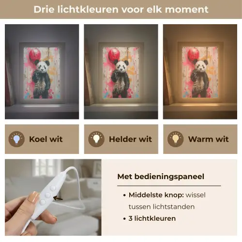 Graffiti - Panda - Ballon - Street art - Dier Light Box met kabel (Tafellamp) klein -USP_lichtkleurNL