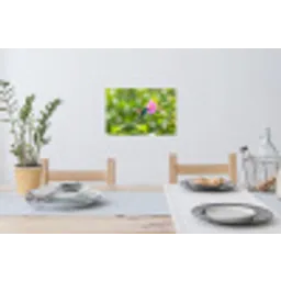 Kolibrie - Bloem - Natuur - Groen Muursticker klein -eettafel