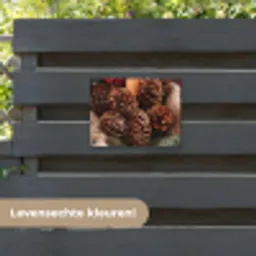 Dennenappels - Boom - Winter - Natuur - Bruin tuinposter los doek klein -sfeer3