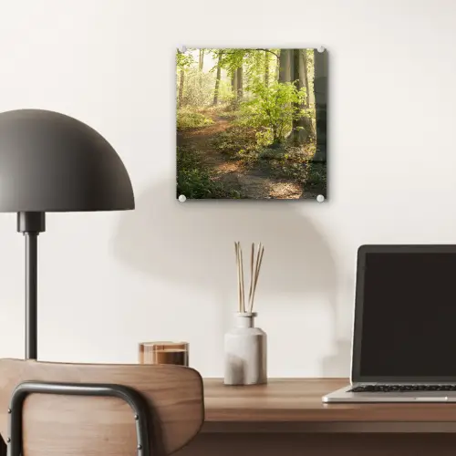 Bos - Bomen - Pad - Zon - Planten - Bladeren - Natuur plexiglas 5mm klein -sfeer6