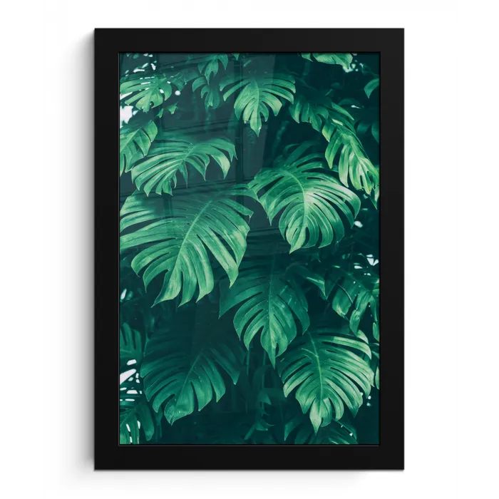 Monstera - Bladeren - Planten - Jungle - Natuur fotolijst zwart zonder passe partout klein -3d