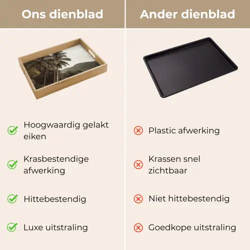 Eiland - Palmboom - Zee Dienblad Rechthoek middel -USP_VergelijkingNL