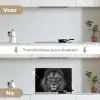 Leeuw - Dieren - Zwart - Wit keuken achterwand spatscherm klein -voor_na_NL