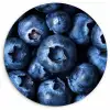 Bessen - Blauw - Fruit Wandcirkel kunststof plaat 5mm dik klein -3d