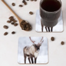 Rendier - Gewei - Toendra - Sneeuw - Wild onderzetter kurk middel -sfeer2