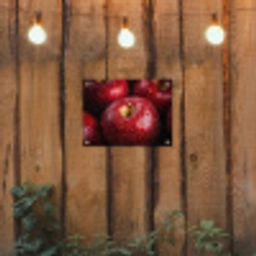 Rood - Appels - Fruit tuinposter los doek klein -sfeer1