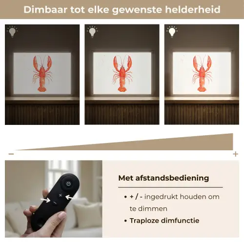 Kreeft - Waterverf - Aquarel - Oranje Light Box met batterij (Wandlamp) middel -USP_dimbaarNL