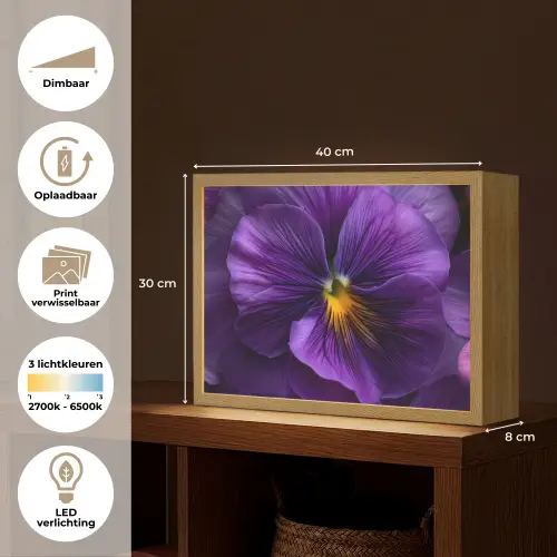 Paars - Viool - Diepte Light Box met batterij (Wandlamp) middel -USP_websiteoverzichtNL