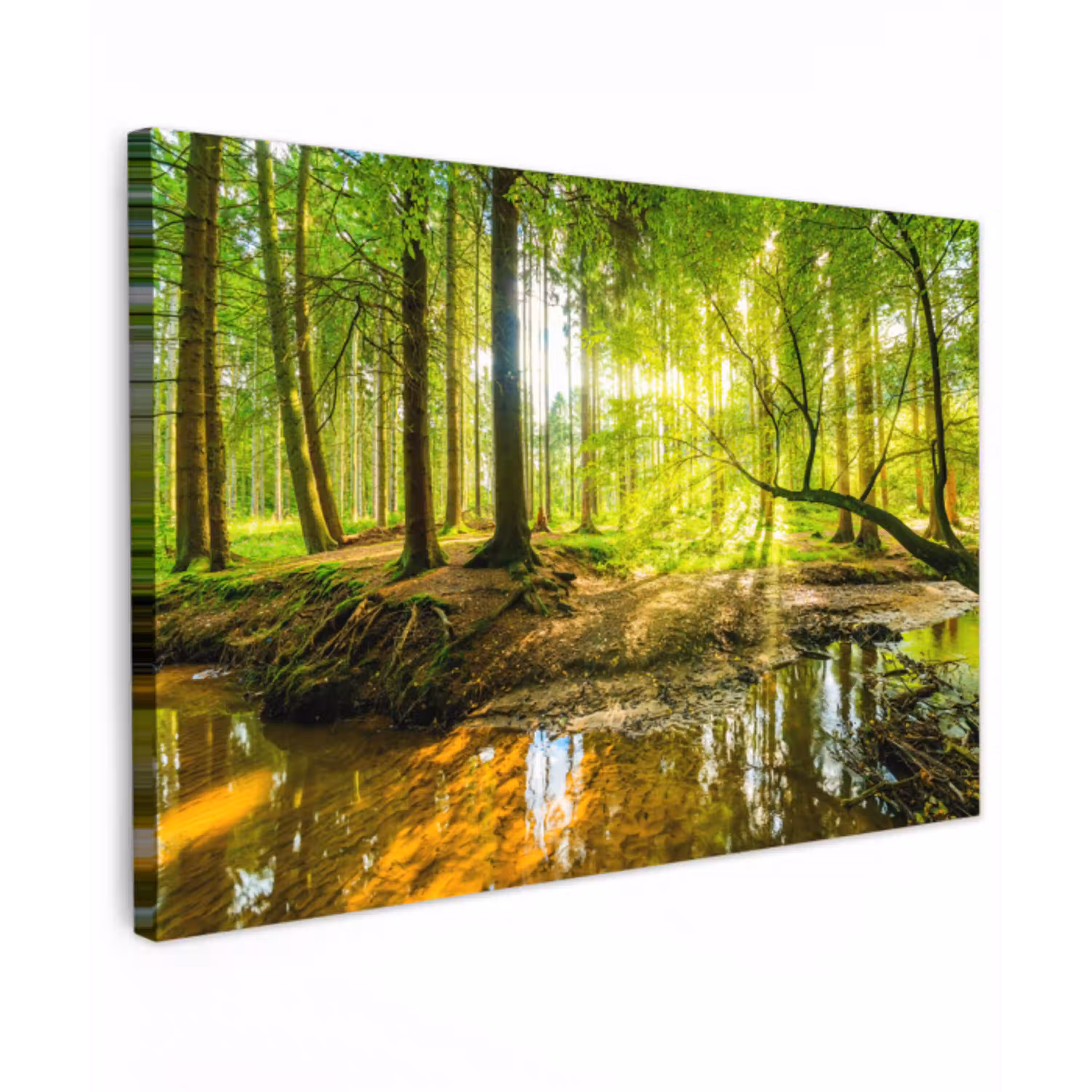 Bos - Landschap - Water - Bomen - Zon - Groen - Natuur canvas 2cm klein -z3d